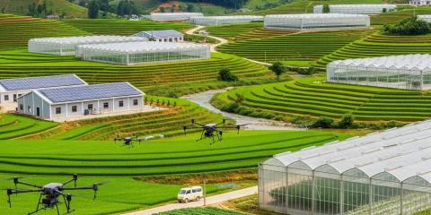 Dịch vụ Thành lập Công ty Nông nghiệp tại Lào Cai: Lợi thế và Thủ tục